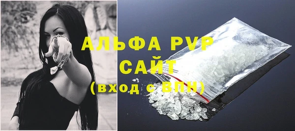 амф Ладушкин