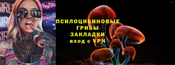 бошки Лагань