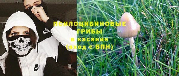MESCALINE Лабытнанги