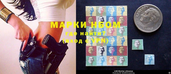 амф Ладушкин