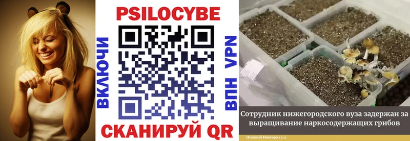 Псилоцибиновые грибы прущие грибы  Нефтегорск 